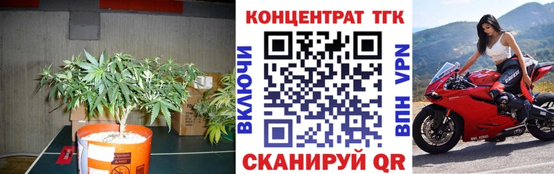 blacksprut зеркало  Орёл  ТГК Wax 